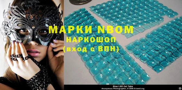 индика Аркадак