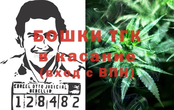 индика Аркадак