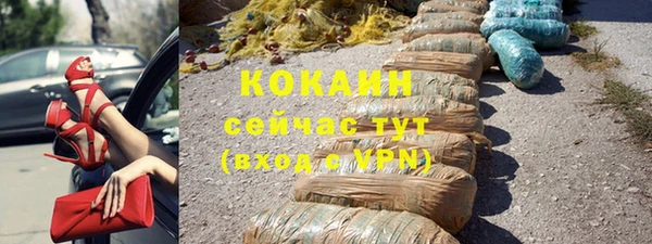 индика Аркадак