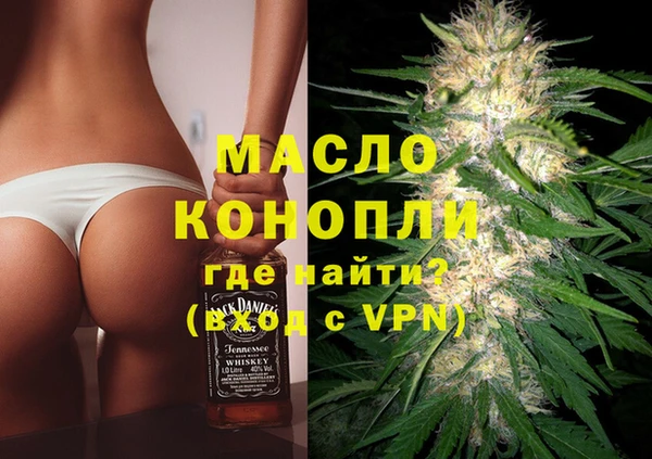 индика Аркадак